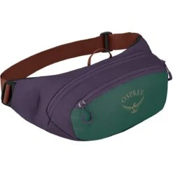 Daylite 2L Waist Pack