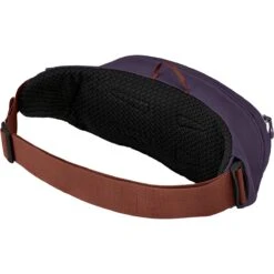 Daylite 2L Waist Pack -Osprey Pack Shop AXGRENPU D1