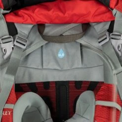 Ariel Plus 60L Backpack - Women's -Osprey Pack Shop CARRED D12