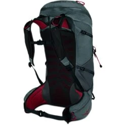 Talon Pro 30L Backpack 9 Talon Pro 30L Backpack -Osprey Pack Shop CAR D1 1