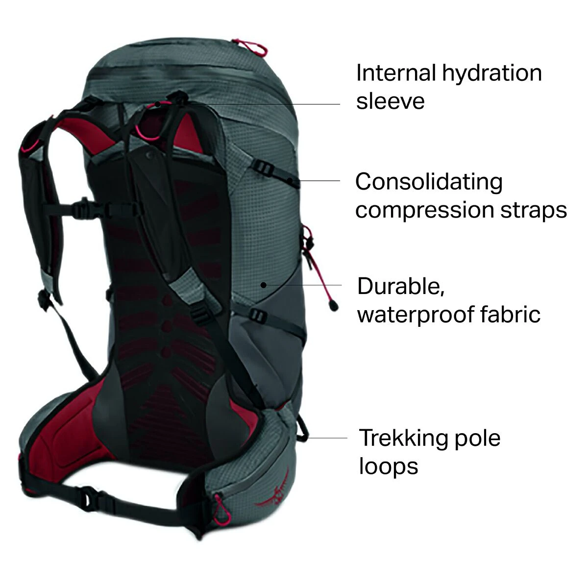 Talon Pro 30L Backpack 4 Talon Pro 30L Backpack - Image 4