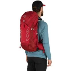Talon 36L Backpack -Osprey Pack Shop COSRED D1