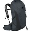 Talon 26L Backpack